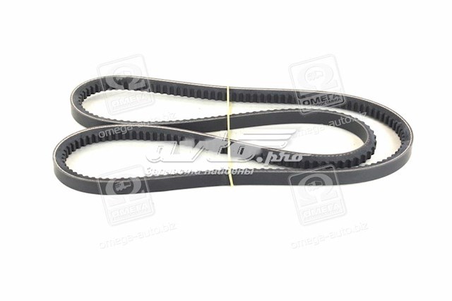 Correa de alternador 13A1300C Dayco