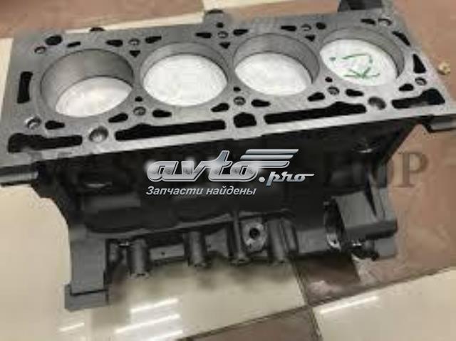 Bloque motor RENAULT 6001549035