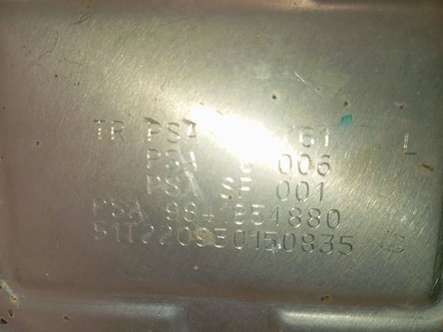 Filtro de partículas 9841854880 Peugeot/Citroen