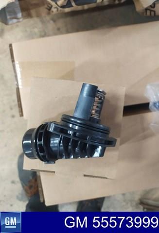 Termostato GM 55573999