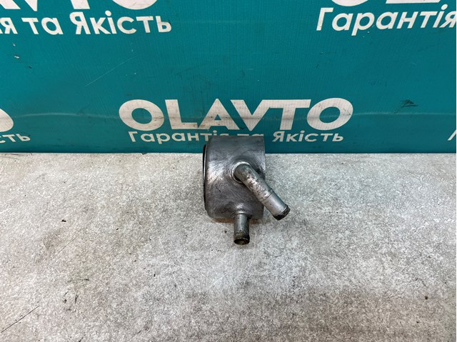 Comprar 8200068115A Nissan/Infiniti 