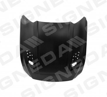 Capó del motor Signeda PFD20194C precio, desde 864,34 EUR