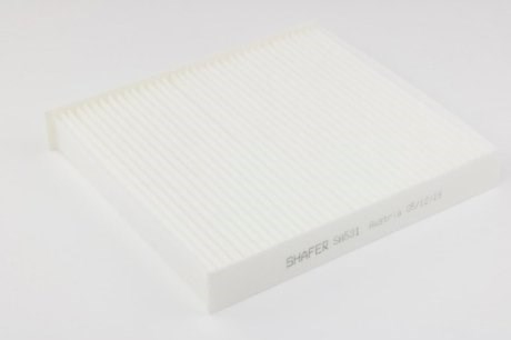 SA531 Shafer Filtro antipolen