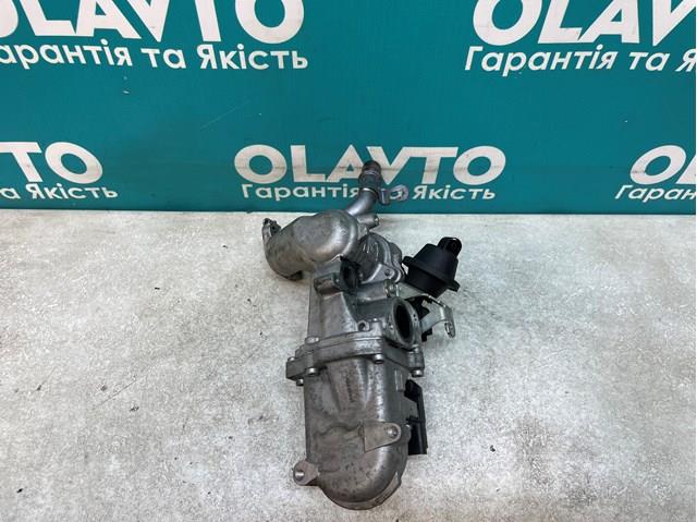50563902 Peugeot/Citroen Válvula EGR