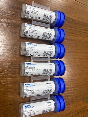 Inyector pulverizador diésel Delphi L193PBC