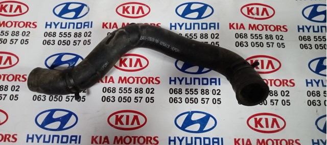 2541117610 Hyundai/Kia