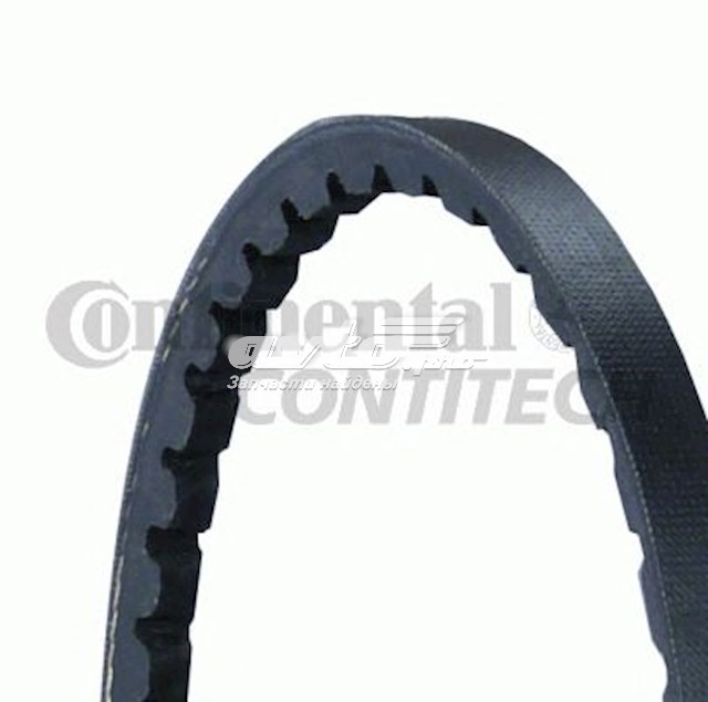 Correa de transmisión trapezoidal Continental/Siemens AVX10X1775 precio, desde 19,30 EUR
