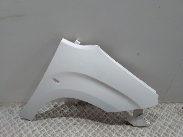 Guardabarros delanteros derecho Peugeot/Citroen 9816482380 precio, desde 124,87 EUR