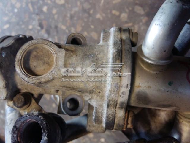 Comprar 53446103 Fiat/Alfa/Lancia 