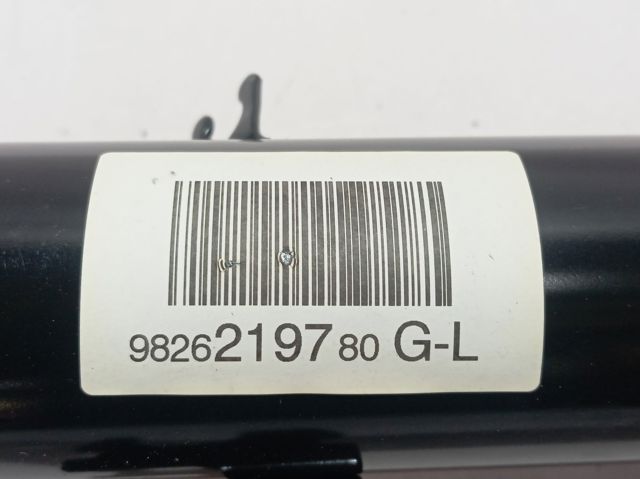 9826219780 Peugeot/Citroen Amortiguador frontal izquierdo