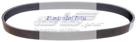 8PK1509 Continental/Siemens Correa poly v