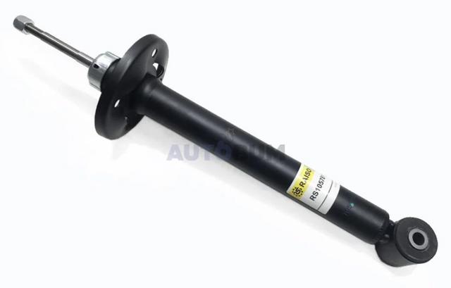 Amortiguador trasero RS105781OIL Raiso