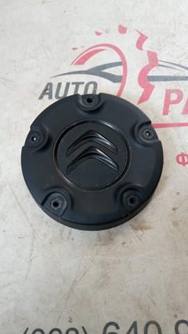 Comprar 9808342077 Peugeot/Citroen 