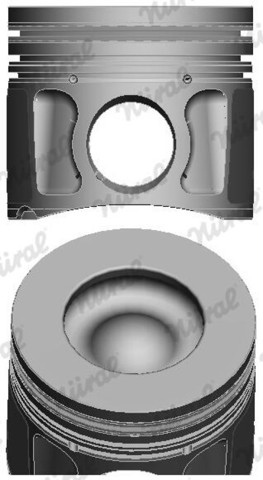 8742770050 Nural Pistón