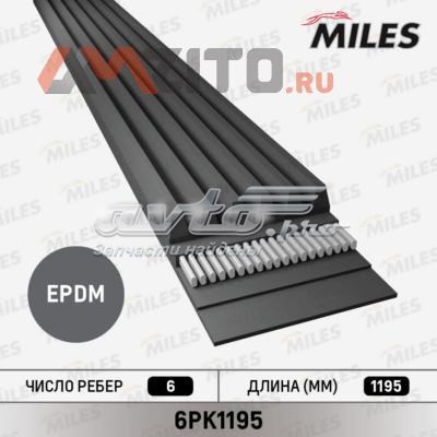 6PK1195 Miles correa trapezoidal