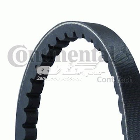 13X1100 Dongil Correa poly v