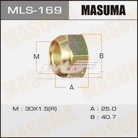 MLS169 Masuma