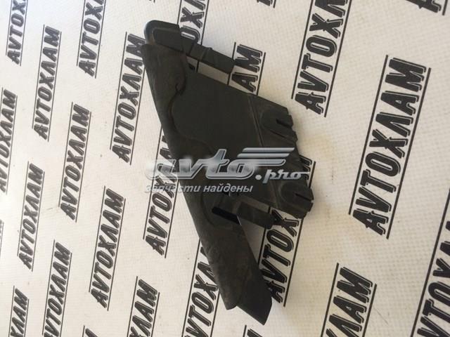 Soporte para guardabarros delantero, izquierda delantero Nissan Qashqai 1 (J10)