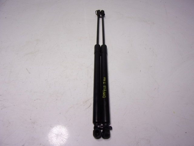 Muelle neumatico maletero Peugeot/Citroen 9807899380