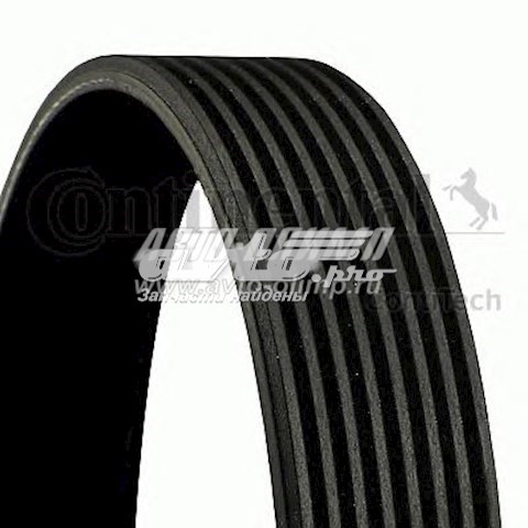 Correa de transmisión trapezoidal Continental/Siemens 8PK1755 precio, desde 30,81 EUR