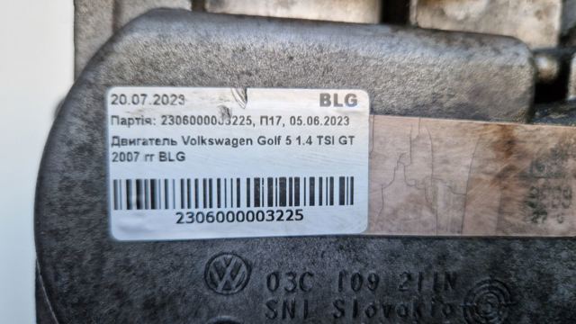 Motor completo BLG VAG