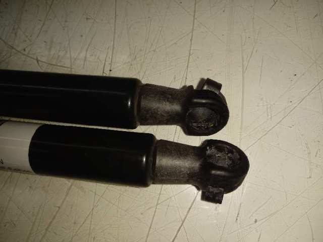 Amortiguador maletero 904506697R Renault (RVI)