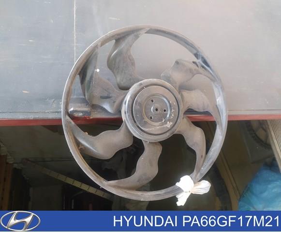 PA66GF17M21 Hyundai/Kia