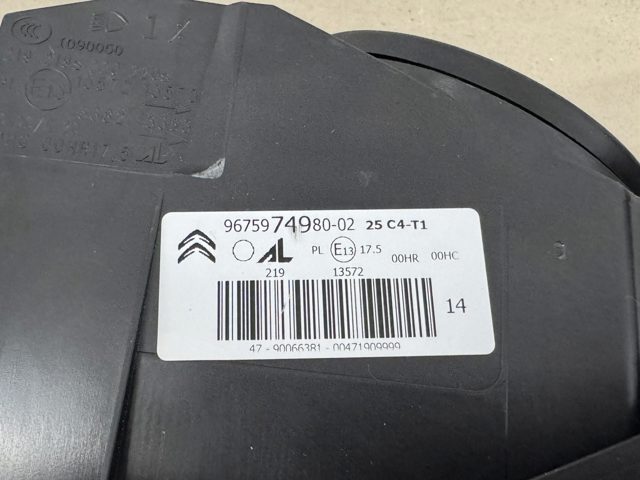 9675974980 Peugeot/Citroen Faros