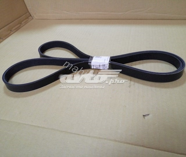 113600015702 Geely Correa poly v