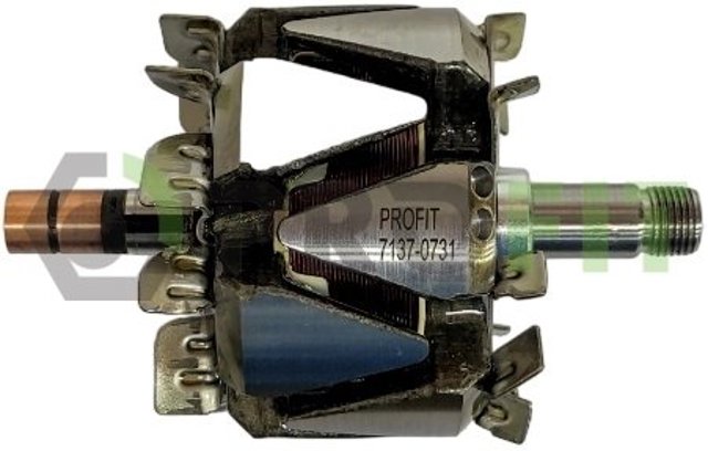 Comprar 137731 REMA-PARTS Rotor del alternador
