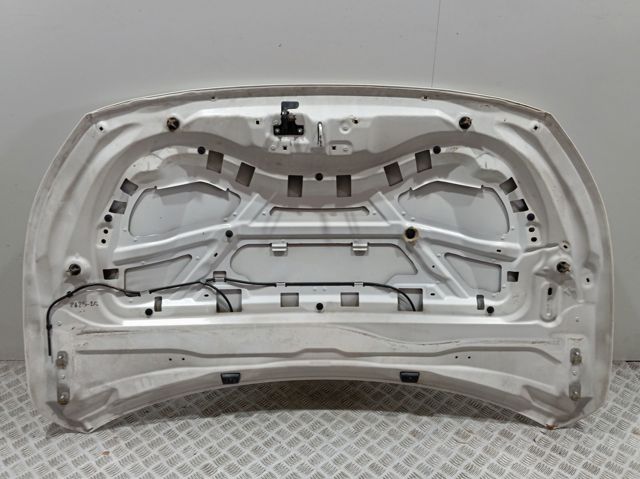 Capó 9827576880 Peugeot/Citroen