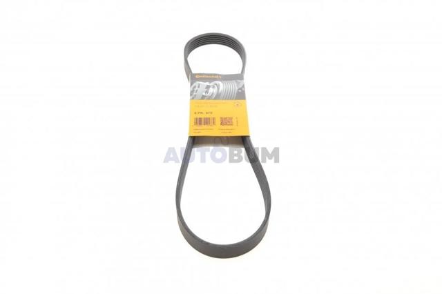 Correa de alternador 6PK970 Continental/Siemens