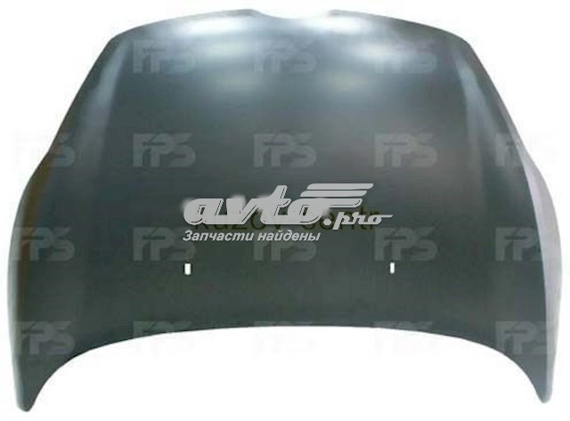 Capot FPS FP2810280