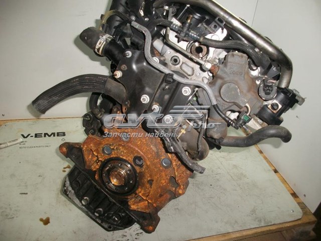 QXBA Ford Motor completo
