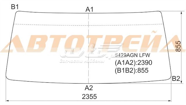 5429AGN XYG parabrisas