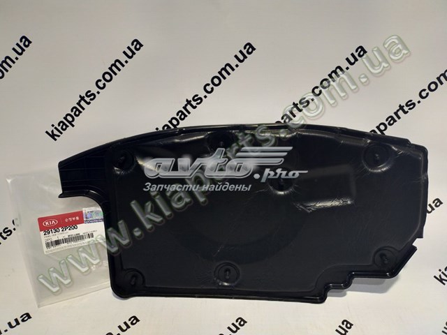 Protector de motor izquierdo Hyundai Santa Fe 2 (CM)