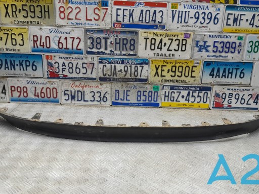 Alerón delantero 960155AA0A Nissan/Infiniti