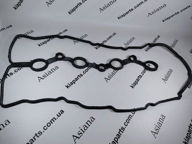 Junta tapa válvula Hyundai/Kia 224412GGA0 precio, desde 16,19 USD