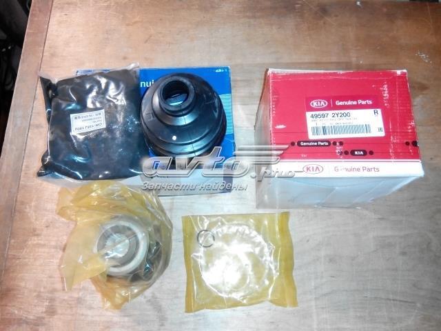  Hyundai/Kia 495972Y200
