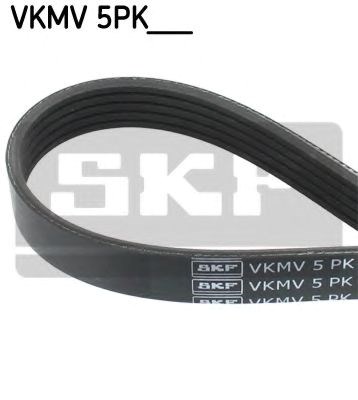 VKMV5PK1885 SKF correa trapezoidal