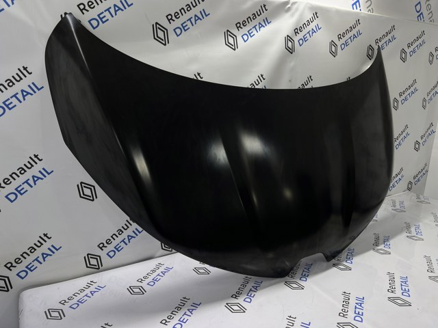 Capó 651001566R Renault (RVI)