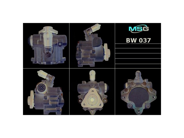 BW037 MSG Bomba hidráulica de dirección