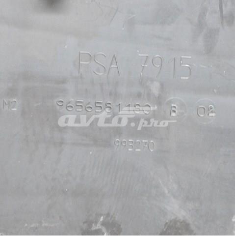  Peugeot/Citroen 9656581180 precio, desde 31,94 EUR