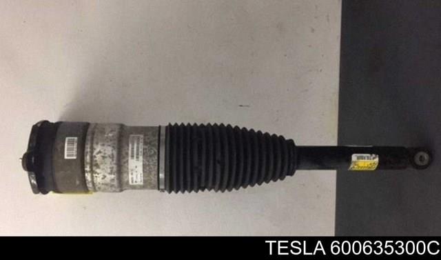 600635300C Tesla amortiguador trasero derecho