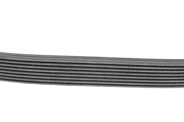 Correa de transmisión trapezoidal Continental/Siemens 8PK1376 precio, desde 20,78 EUR