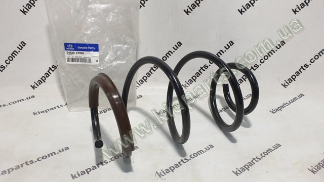 546302T094 Hyundai/Kia Muelle delantero