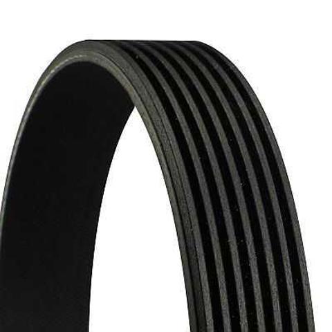 Correa de transmisión trapezoidal Continental/Siemens 7PK1715 precio, desde 47,52 EUR