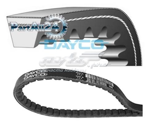 Correa de alternador 13A1000C Dayco