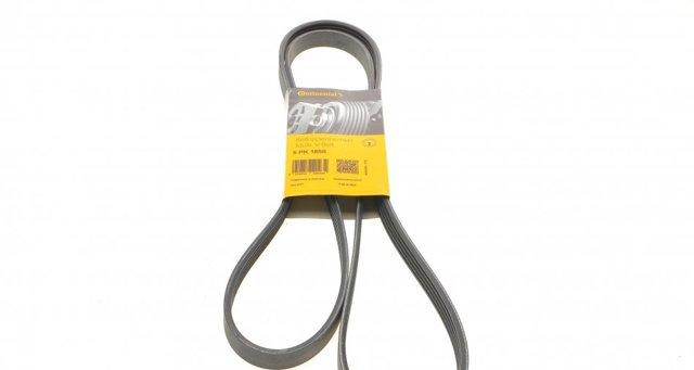 5PK1850 Continental/Siemens Correa poly v