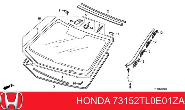 Moldeado del parabrisas para Honda Accord (CW)